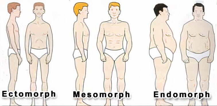 Fogyj okosan, hormonális testtípusok | Hímichaelmansfield.hu - Fogyás testtípusok